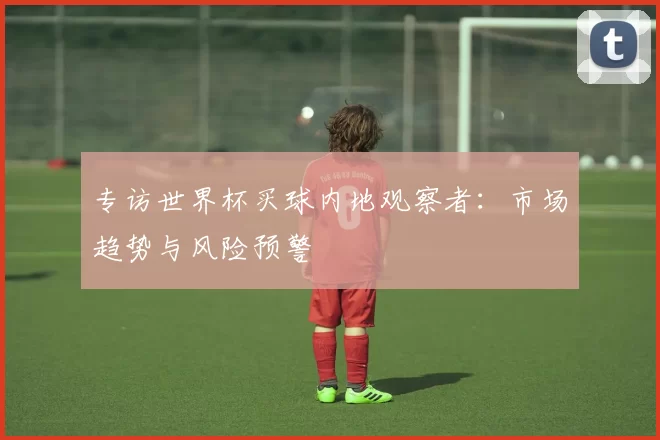 专访世界杯买球内地观察者：市场趋势与风险预警