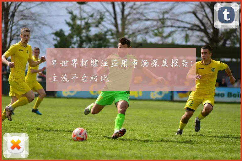 年世界杯赌注应用市场深度报告：主流平台对比