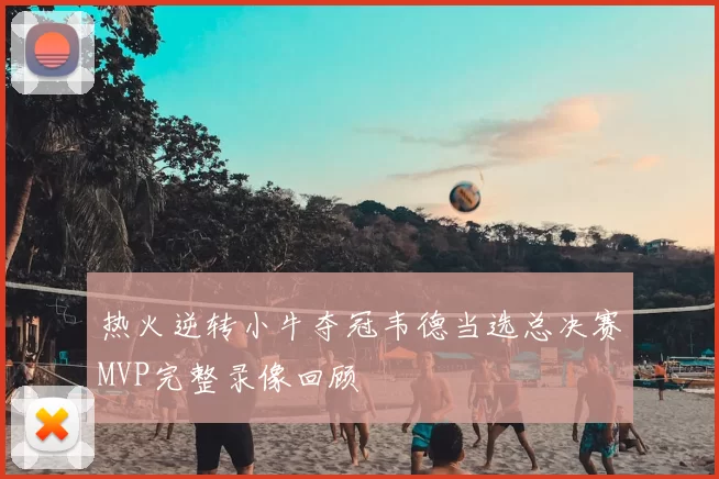 热火逆转小牛夺冠韦德当选总决赛MVP完整录像回顾