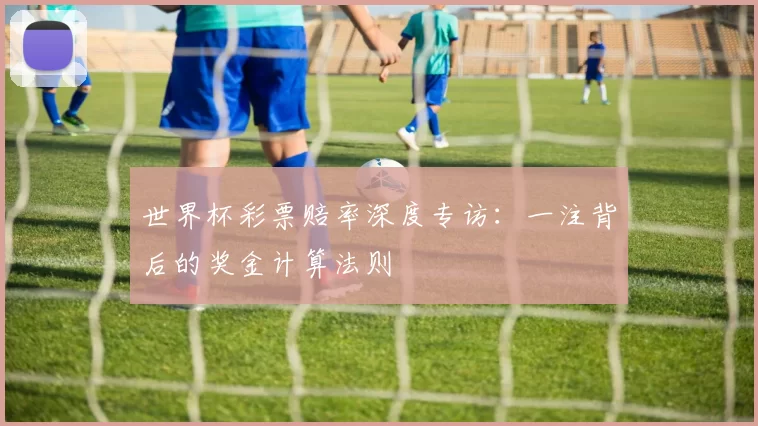 世界杯彩票赔率深度专访:一注背后的奖金计算法则