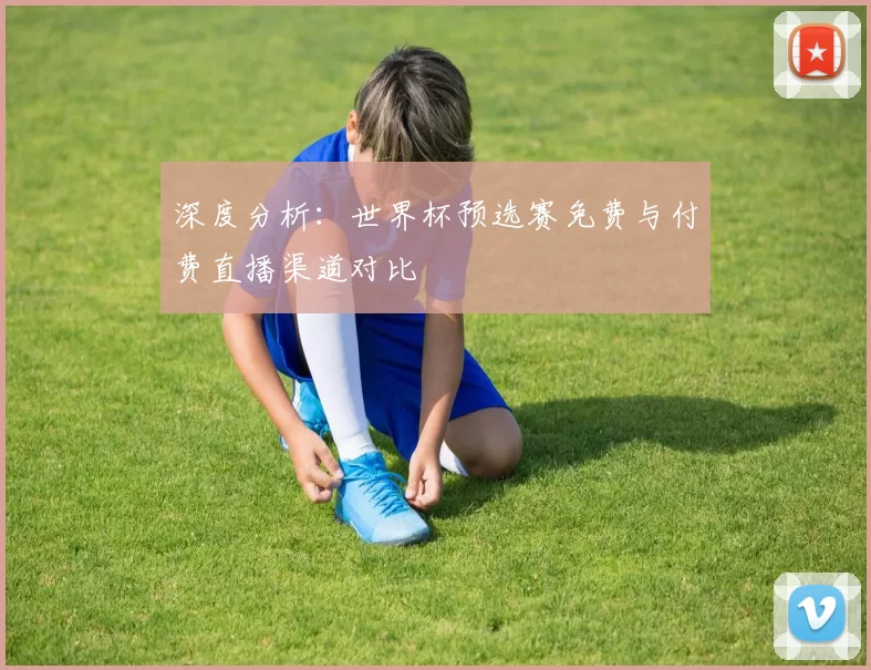 深度分析：世界杯预选赛免费与付费直播渠道对比