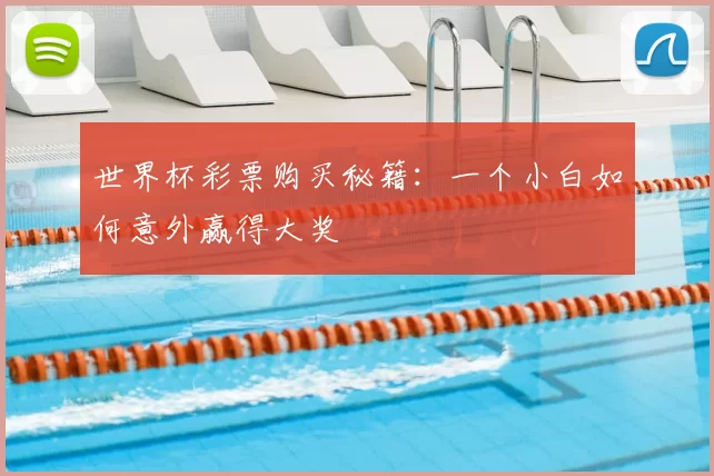 世界杯彩票购买秘籍:一个小白如何意外赢得大奖