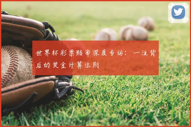世界杯彩票赔率深度专访：一注背后的奖金计算法则