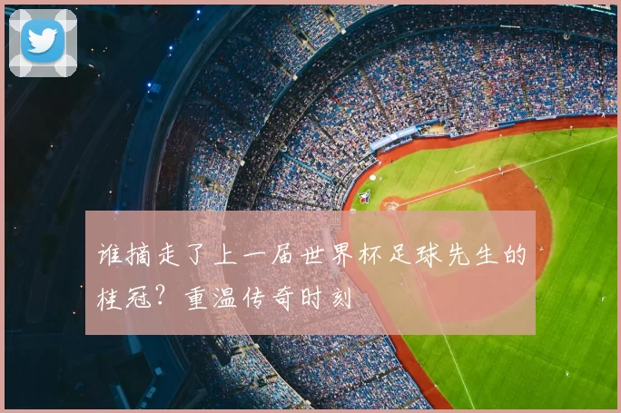 谁摘走了上一届世界杯足球先生的桂冠？重温传奇时刻