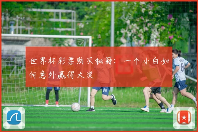 世界杯彩票购买秘籍:一个小白如何意外赢得大奖