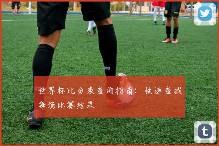 世界杯比分表查询指南:快速查找每场比赛结果