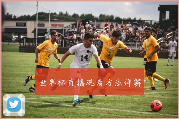 世界杯直播观看方法详解